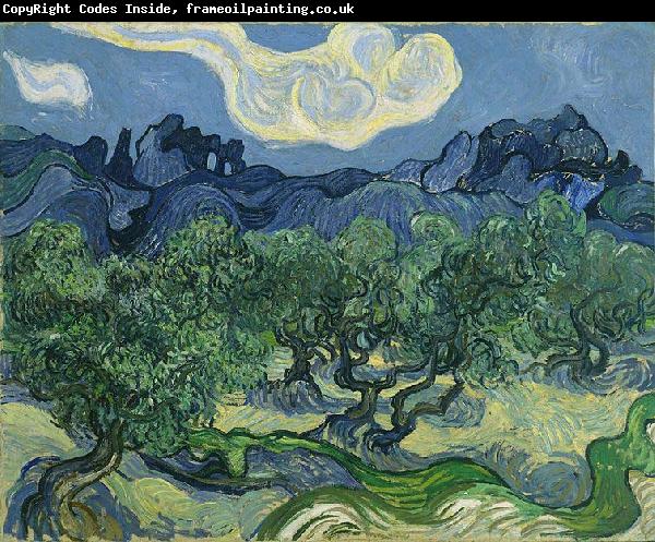Vincent Van Gogh The Olive Trees